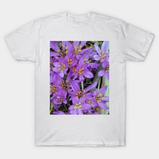 Crocus - by South Australian artist Avril Thomas at Magpie Springs - Adelaide Hills  - Fleurieu Peninsula - South Australia T-Shirt